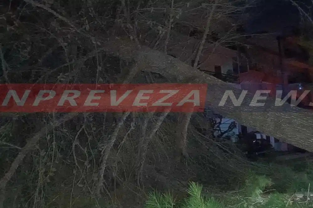 Τεράστιο πεύκο έπεσε πάνω σε μπαλκόνι δεύτερου ορόφου στην Πρέβεζα (video)